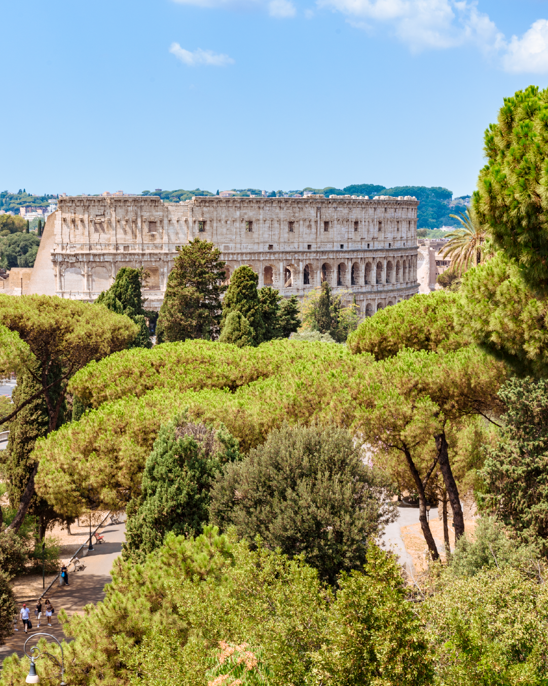 Colosseo visto tra le chiome dei pini e il verde del parco, ripreso da Via Mecenate in una giornata di sole.